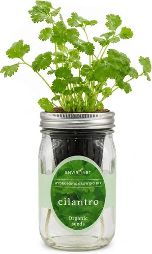 Vista 12 de Kit de Cultivo Hidropónico, Kit de Inicio de Jardín de Hierbas en Frasco Mason con Autoriego para Interiores, Jardín de Hierbas para Alféizar