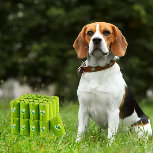 Vista 9 de Pkpoo Bolsas de excremento de perro 100% compostables, extra anchas, bolsas grandes a base de vegetales para perros, bolsas de basura biodegradables
