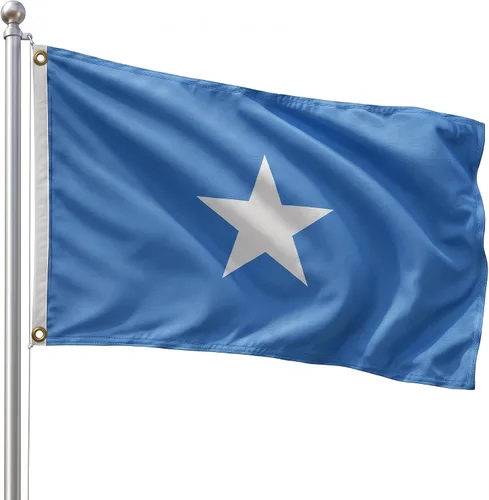 Vista 67 de DMSE - Bandera nacional beninesa beninesa de la República de África Occidental, 2 x 3 pies, 100 % poliéster, 100 % poliéster, resistente a los rayos