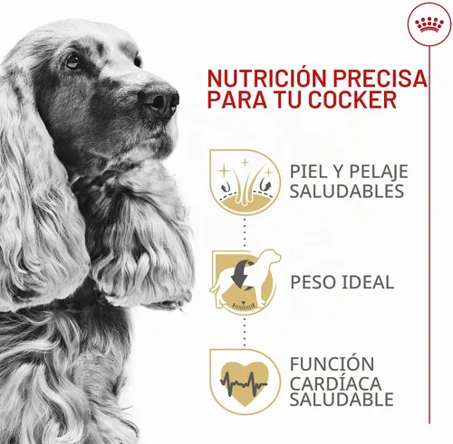 Vista 4 de ROYAL CANIN Cocker Spaniel Alimento seco para perros adultos, bolsa de 6