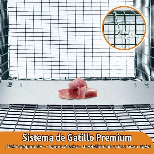 Vista 5 de HOMESTEAD Trampa para animales vivos de alta resistencia de 42 pulgadas Gatillo profesional de ajuste rápido, placa de cebo, malla resistente al