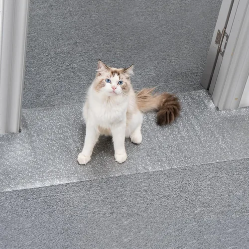 Vista 10 de Uross Protector de alfombra para mascotas, protector de alfombra de gato negro de 3.6 pies para puerta, antiarañazos debajo de la puerta