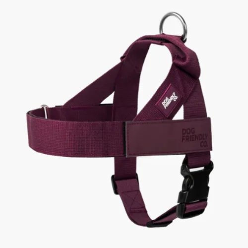 Vista 13 de Arnés para perro Dog Friendly Co Correas resistentes a rozaduras, cuello y pecho ajustables, y anillo en D resistente Resistente, cómodo, fácil