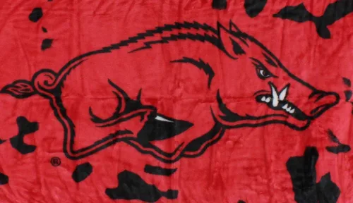Vista 4 de College Covers Everything Comfy Arkansas Razorbacks Manta de Tiro Raschel Suave, Cálida y Enorme, 86" x 63