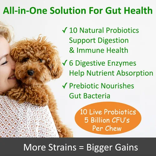 Vista 2 de TummyWorks Probióticos para perros. 120 probióticos masticables suaves para salud digestiva, intestino, inmunidad, energía, alergias, piel y pelaje.