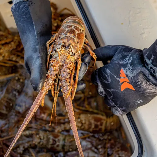Vista 6 de KastKing IceRiver - Guantes de pesca 100% impermeables para hombres y mujeres, para pesca en clima frío y deportes al aire libre, ideales para pesca