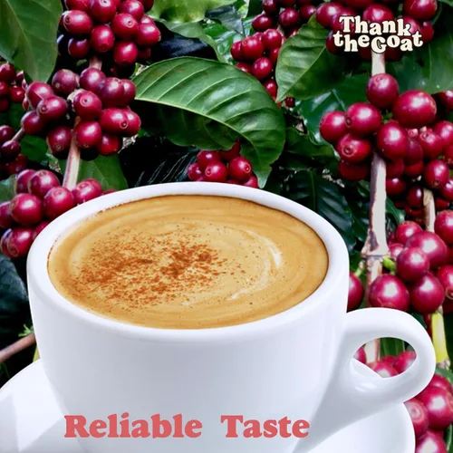 Vista 5 de Thank the Goat Gourmet - Cápsulas de café recién tostadas, tostado medio, compatibles con cafeteras Keurig 2.0 K-Cup, de Huila, Colombia, 24