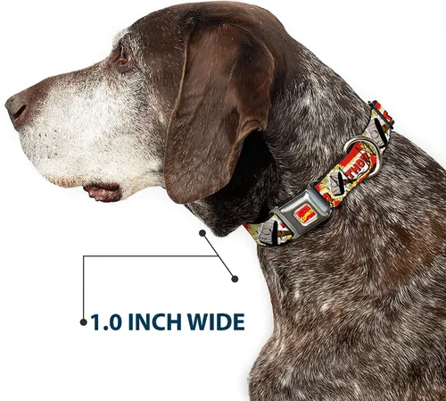 Vista 6 de Buckle-Down Collar de perro hebilla de cinturón de seguridad Thor Hammer rojo amarillo blanco 9 a 15 pulgadas 1.0 pulgadas de ancho, multicolor
