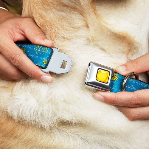 Vista 8 de Buckle-Down Collar de perro con hebilla de cinturón de seguridad, con texto de la historia de la Bella y la Bestia, 1 pulgada de ancho, se adapta a