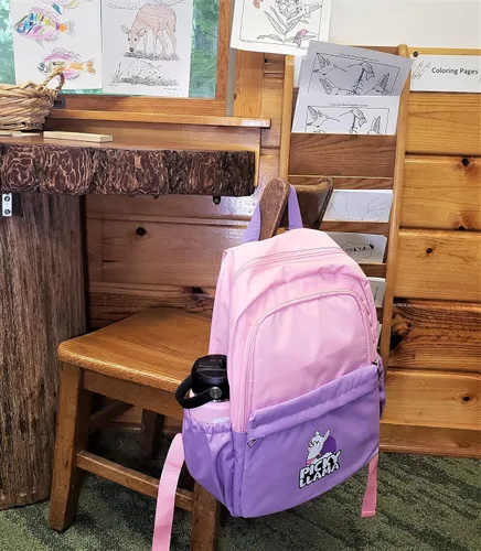 Vista 5 de PICKY LLAMA Mochila para niños, mochila ligera para la escuela y de viaje con bolsa de almuerzo y estuche para lápices pop para niñas y niños, 15