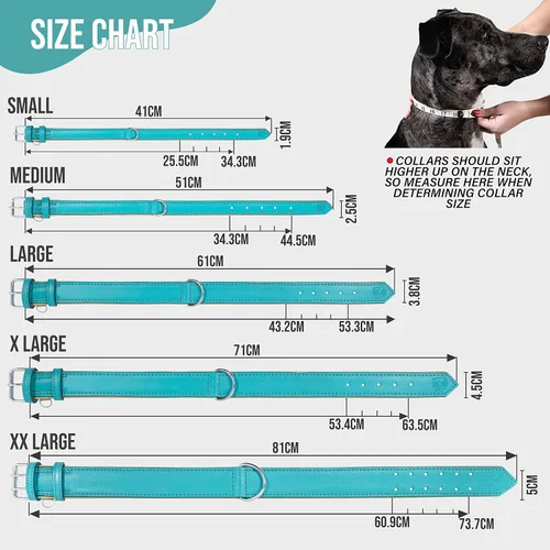 Vista 6 de Riparo Collar de perro de cuero ajustable – Collar de perro ancho resistente para perros pequeños, medianos, grandes y extra grandes con soporte Agua