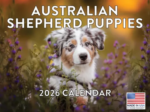 Vista 27 de Calendario mensual de pared Airedale Terrier Dog 2027