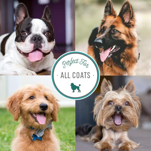 Vista 4 de Nature's Specialties Cologón para perros de 8 onzas – Colonia de esencia de almendra, aroma de almendras, listo para usar, spray de acabado +