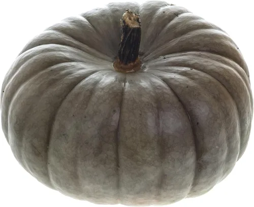 Vista 67 de 50 Hale's Best Cantaloupe Seeds for Planting - Sweet Aromatic Heirloom, Non-GMO, USA Grown by RDR Seeds
