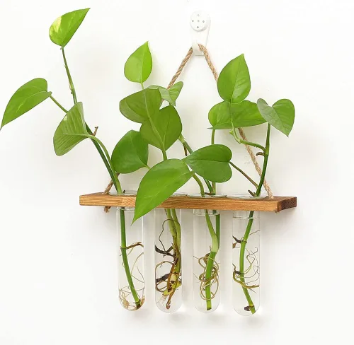 Vista 2 de Maceta colgante de pared terrario con soporte de madera, mini tubo de ensayo, floreros de flores retro colgantes de vidrio propagador para plantas