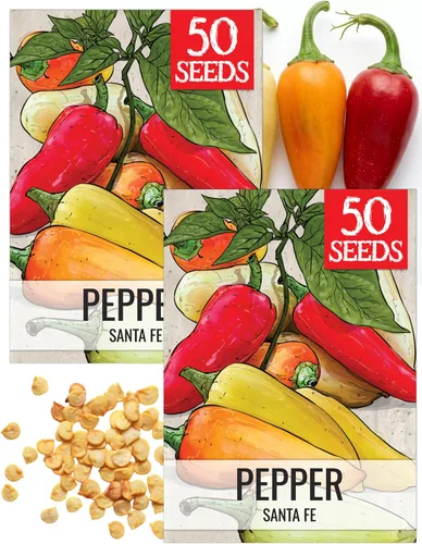 Vista 66 de Seed Needs - Semillas de pimiento arcoíris para plantar verduras, 1 paquete