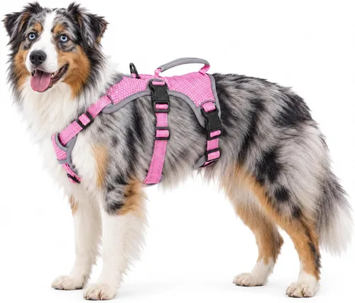 Vista 11 de Huntboo - Arnés para perro a prueba de escape, arnés reflectante con asa, duradero, chaleco ajustable para perros pequeños, medianos y grandes