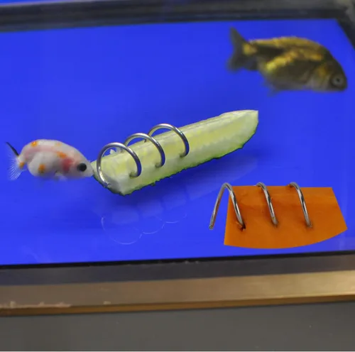 Vista 3 de Alimentador de acuario para pecera, verduras, locha, malawi cíclidos caracol, alimentador de hundimiento de acero inoxidable, juego de 2 piezas