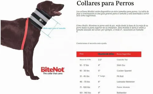 Vista 2 de Collar, Multicolor