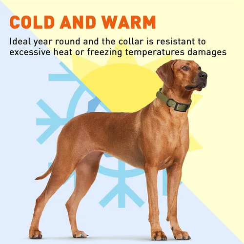 Vista 135 de Dogline Biothane - Collar impermeable para perro con hebilla de liberación rápida, resistente cincha de nailon recubierta con resistente y a prueba