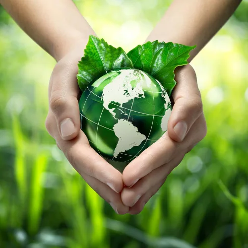 Vista 7 de Zero Waste USA - Bolsas compostables para la estación de residuos de perros - 20 cabezales (2,000 bolsas) - Los biopolímeros a base de plantas se