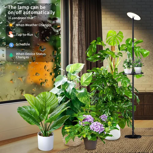 Vista 5 de chiphy Luces de crecimiento, luz de espectro completo para plantas de interior, temporizador de control de aplicación de enchufe inteligente, 40 W