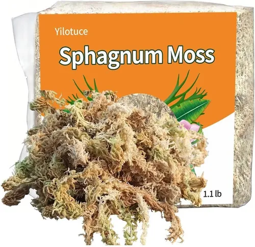 Vista 7 de Musgo esfagnum comprimido de 3.2 oz para plantas, musgo esfagnum prémium cuidadosamente seleccionado para orquídeas