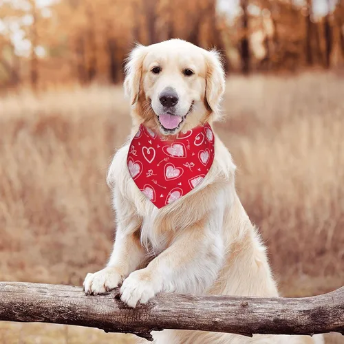 Vista 5 de Pañuelo rojo para perro con flecha de amor para el día de San Valentín, bufanda triangular, baberos, accesorios para mascotas, pañuelo para gatos