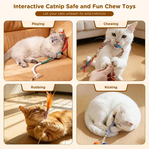 Vista 4 de Juguetes de hierba gatera para gatos de interior – Palitos de Silvervine y juguetes masticables para gatos para limpieza de dientes – Kit de hierba
