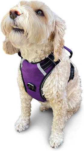 Vista 26 de Arnés antitirones para perro pequeño con 2 hebillas de liberación rápida y mango de fácil control, chaleco suave reflectante sin estrangulamiento