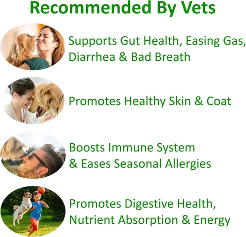 Vista 3 de TummyWorks Probióticos para perros. 120 probióticos masticables suaves para salud digestiva, intestino, inmunidad, energía, alergias, piel y pelaje.