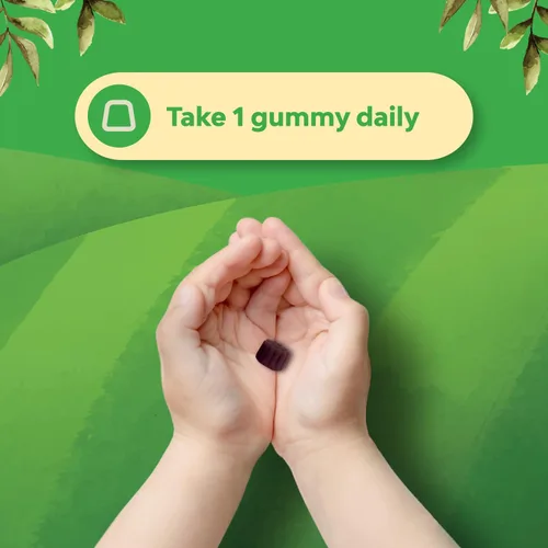 Vista 4 de Gomitas de saúco para niños con zinc y vitamina C, deliciosas gomitas de saúco negro Sambucus para apoyo inmunológico de niños, apoyo diario