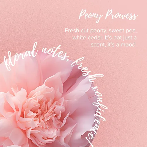 Vista 6 de Coochy Loción de protección íntima Sweat Defense Desodorante en crema calmante para el cuidado femenino Peony Prowess, 3.4 onzas