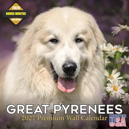 Vista 58 de Calendario de Lebrel Afgano 2025 2026, calendario mensual de pared de raza canina, 12" x 18" abierto, papel grueso sin traspaso, ideal para regalo