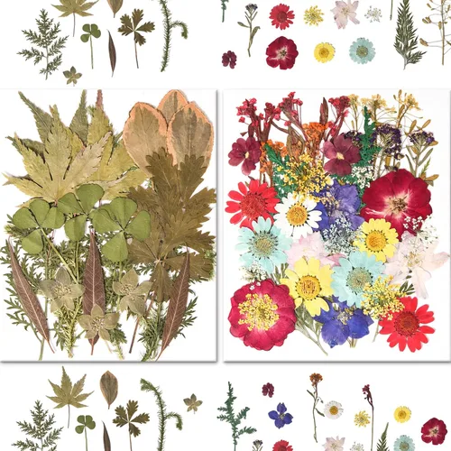 Vista 3 de 184 PCS Real Pressed Dried Flowers and Leaves for Resin Multi