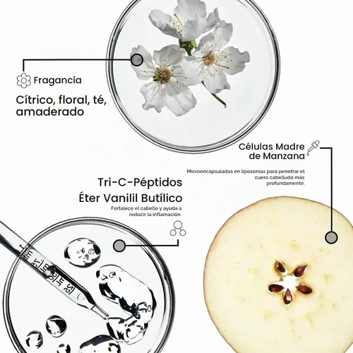 Vista 5 de FRAMESI Morphosis Densifying Shampoo - Champú voluminizador para cabello adelgazante - Champú para cuero cabelludo sensible - Ayuda a mejorar