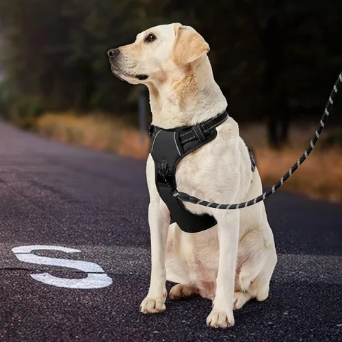 Vista 6 de IVY&LANE Arnés sin tirones para perros pequeños, arnés de chaleco para perro con correa, cinturón de seguridad y correa de almacenamiento, arnés