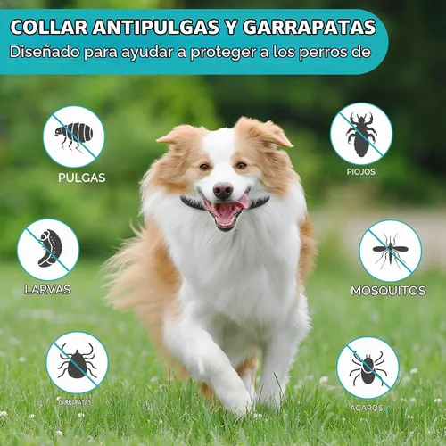 Vista 2 de Prevención de pulgas y garrapatas para perros, paquete de 4 collares