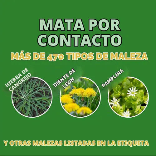 Vista 3 de Spectracide Weed Stop para césped + concentrado matador de pasto de cangrejo, 32 onzas, paquete de 6