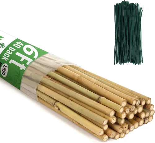 Vista 7 de SWANGSA Paquete de 40 estacas de bambú para plantas de 3 pies, palos de bambú para soporte de plantas, postes de jardín con 200 lazos giratorios