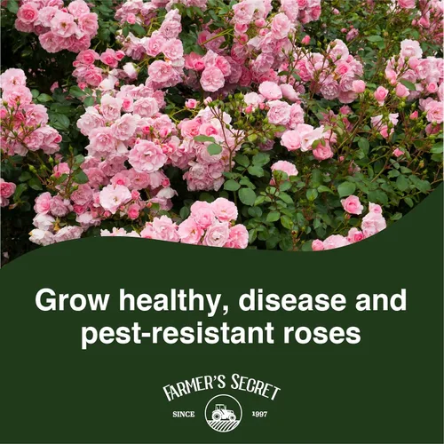 Vista 3 de Farmer's Secret Fertilizante Rose Booster (8 onzas), súper concentrado, formulado para todo tipo de rosas a lo largo del ciclo de vida, fomenta un