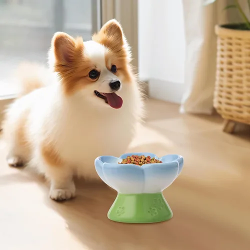 Vista 8 de Cuenco elevado de cerámica para perros para alimentos secos y húmedos, cuenco elevado de comida para gatos de superficie lisa, cuencos de comida