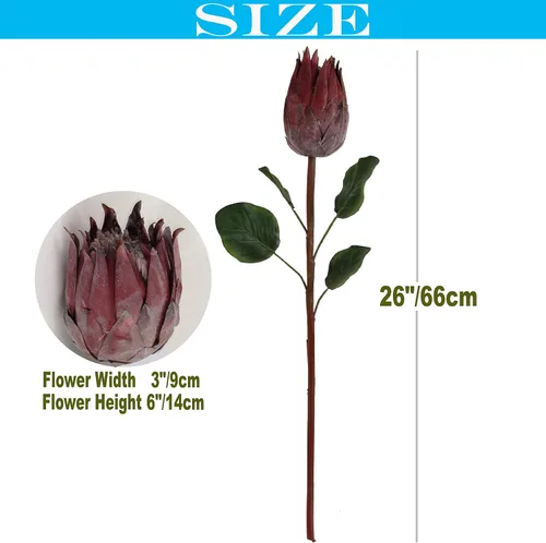 Vista 2 de 4 capullos artificiales de Protea de 26 pulgadas, tallo súper largo, brote artificial de Protea de seda para decoración del hogar, centro de mesa