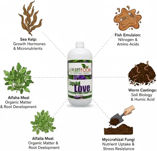 Vista 3 de GS Plant Foods Liquid Love - Alimento orgánico para plantas, multiusos para interiores, 32 onzas