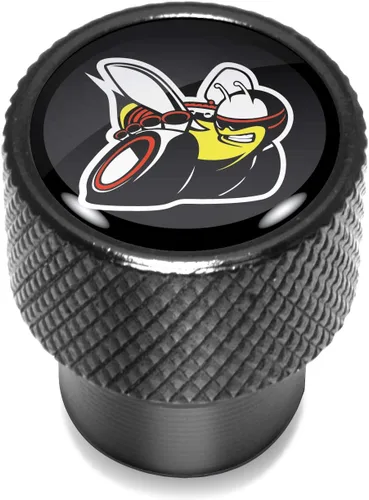 Vista 2 de iPick Image para Dodge Scat-Pack Logo en Casquillos de Válvula de Llanta de Aluminio Negro - Licencia Oficial