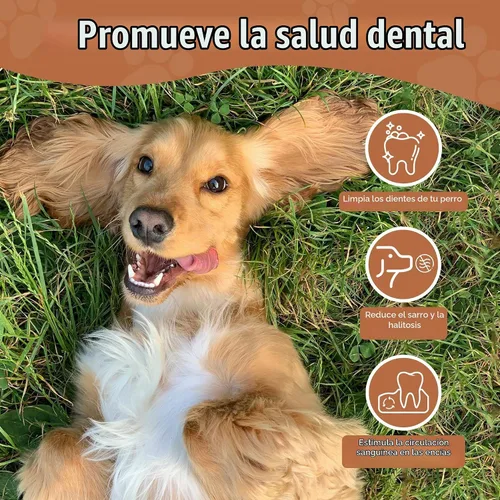 Vista 8 de Wildfang® Coffee Wood Masticable para Perros, Mediano - Juguetes Masticables Resistentes para Masticadores Agresivos, Juguetes de Dentición