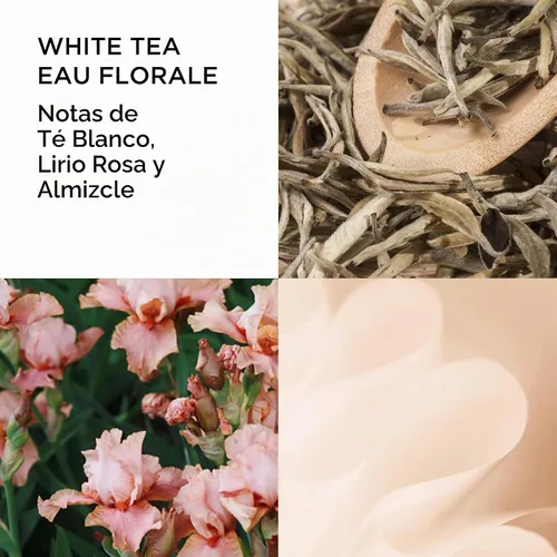 Vista 3 de Elizabeth Arden White Tea Eau De Toilette - Perfume en aerosol para mujer, regalo para ella, aroma floral amaderado