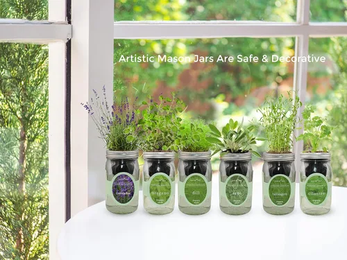 Vista 6 de Kit de cultivo de hierbas hidropónicas, kit de inicio de jardín de hierbas con riego automático en tarro de masón para interiores, jardín de hierbas