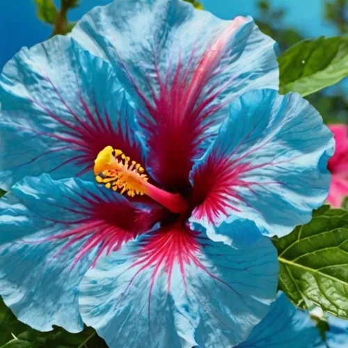 Vista 2 de Más de 200 semillas de flores de hibisco para plantar, plantas exóticas perennes frescas, semillas de bonsái, flores gigantes, plantas tropicales