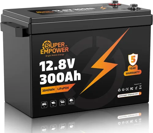 Vista 8 de Batería LiFePO4 de 12 V 100 Ah, ciclo profundo del grupo 24 para vehículos
